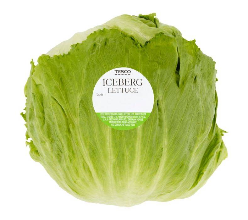 Tesco Iceberg Lettuce (364480)