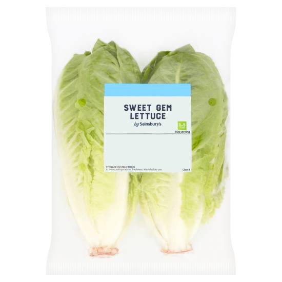 Sainsbury's Sweet Gem Lettuce (2 pack)
